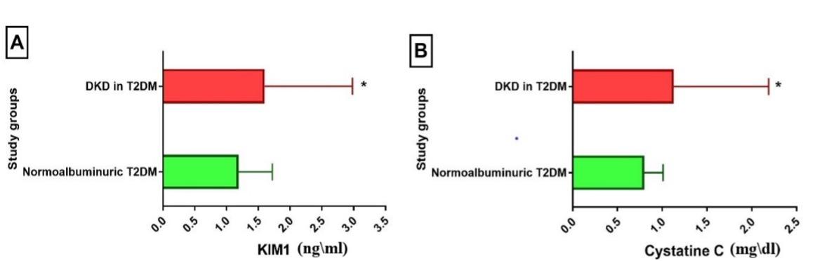 Kidney injury molecule-1 and cystatin C as early biomarkers for renal dysfunction in Iraqi type 2 diabetes mellitus patients