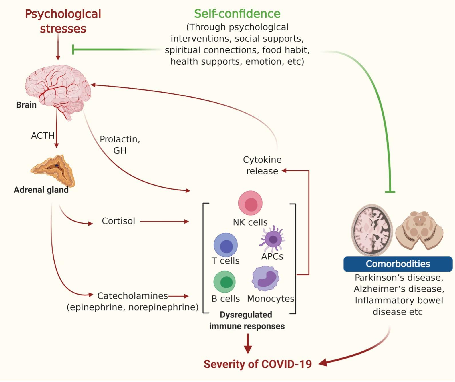 Self-confidence as an immune-modifying psychotherapeutic intervention for COVID-19 patients and understanding of its connection to CNS-endocrine-immune axis