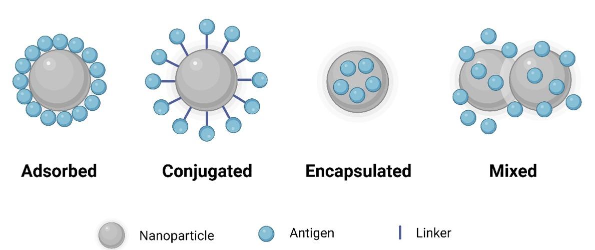 Recent advances in peptide-based nanovaccines for re-emerging and emerging infectious diseases