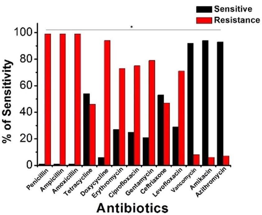 Molecular characterization of multidrug-resistant Escherichia coli isolated from human urine infections with their antibiogram profile