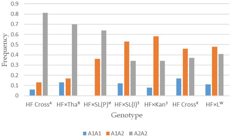 Analysis of β-casein gene for A1 and A2 allelic variants in Holstein-Local crossbred cattle of Bangladesh using allele-specific PCR